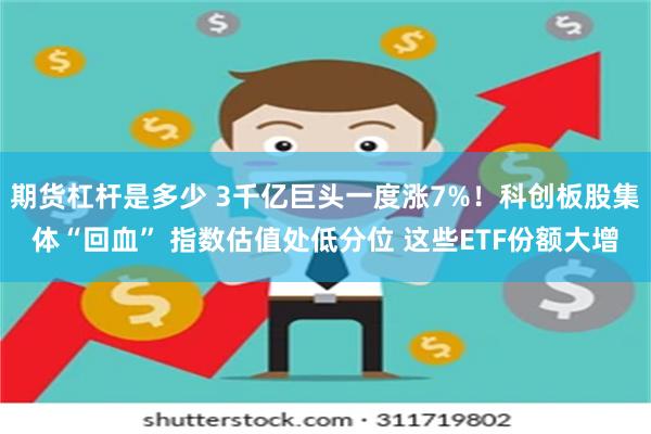 期货杠杆是多少 3千亿巨头一度涨7%！科创板股集体“回血” 指数估值处低分位 这些ETF份额大增