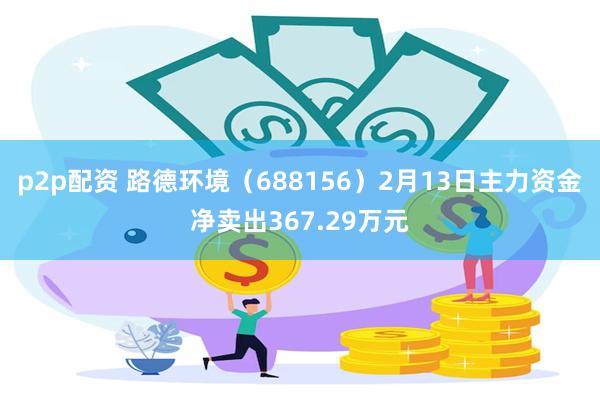 p2p配资 路德环境（688156）2月13日主力资金净卖出367.29万元