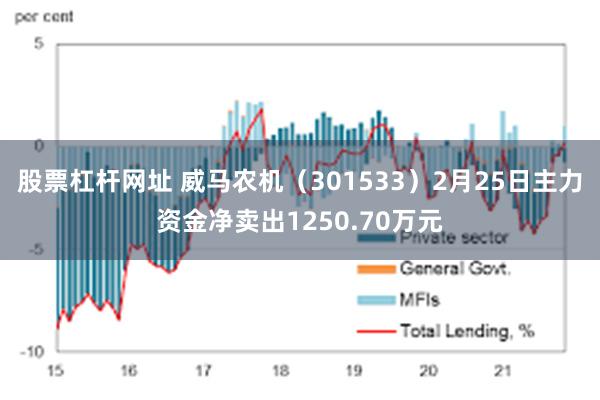 股票杠杆网址 威马农机（301533）2月25日主力资金净卖出1250.70万元