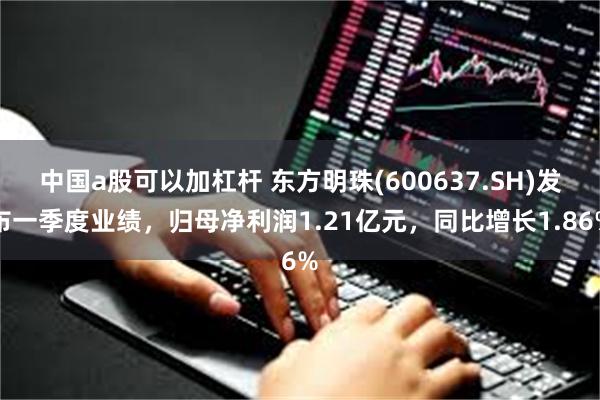 中国a股可以加杠杆 东方明珠(600637.SH)发布一季度业绩，归母净利润1.21亿元，同比增长1.86%
