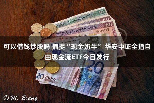 可以借钱炒股吗 捕捉“现金奶牛” 华安中证全指自由现金流ETF今日发行